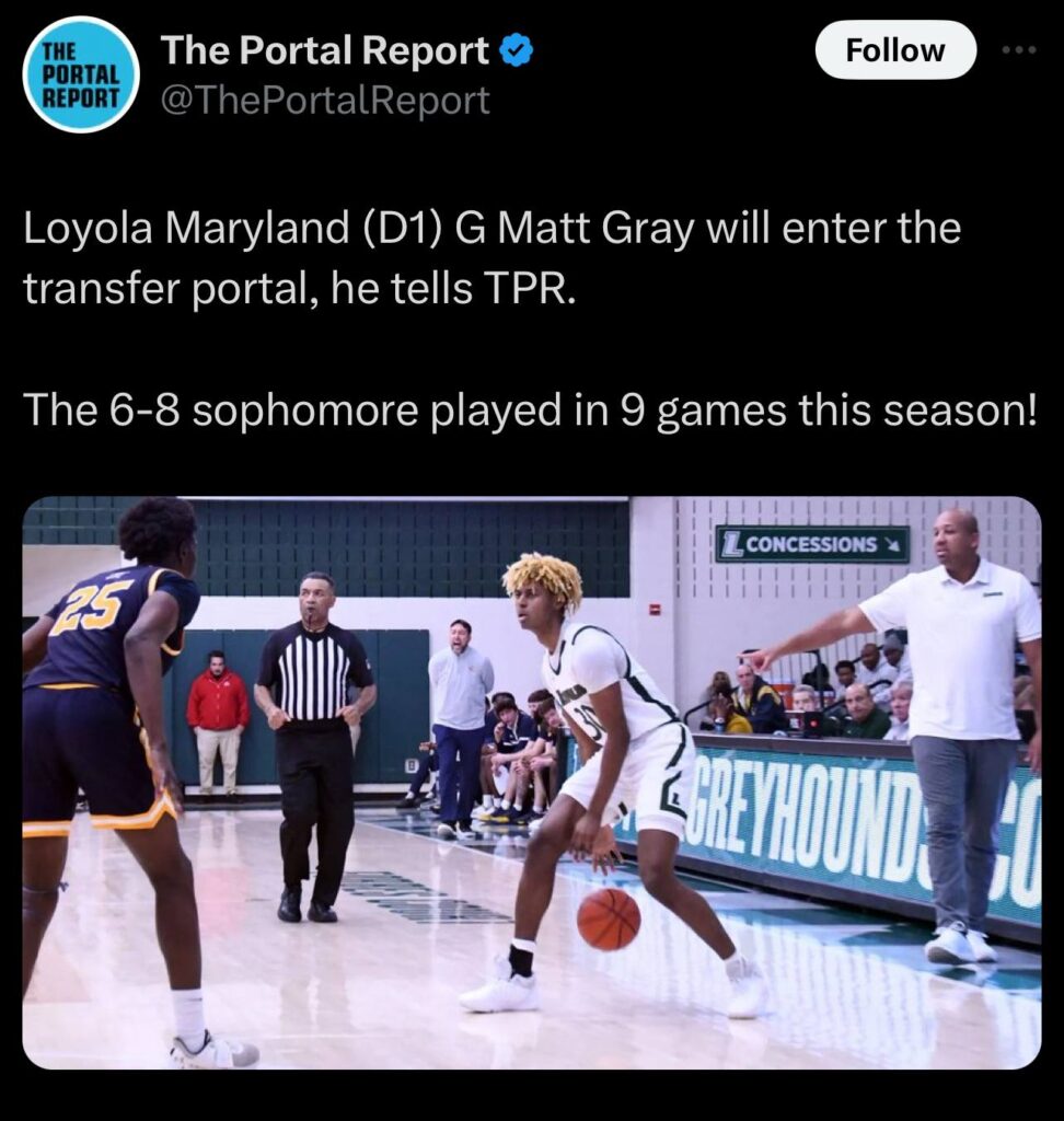 The Portal Report